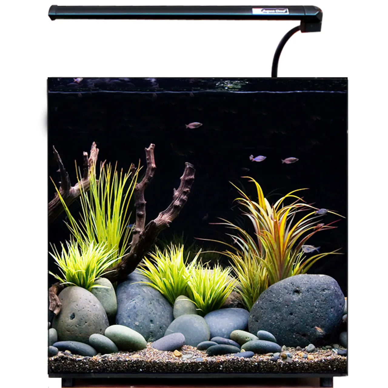 Nano 40 Glass Aquarium