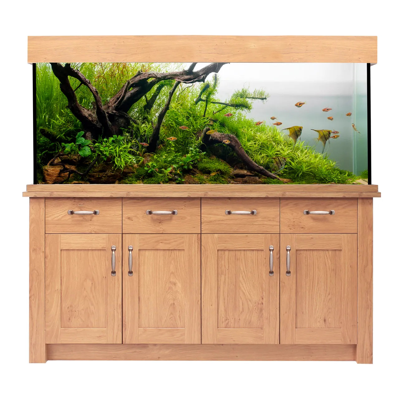 Aquarium and cabinet