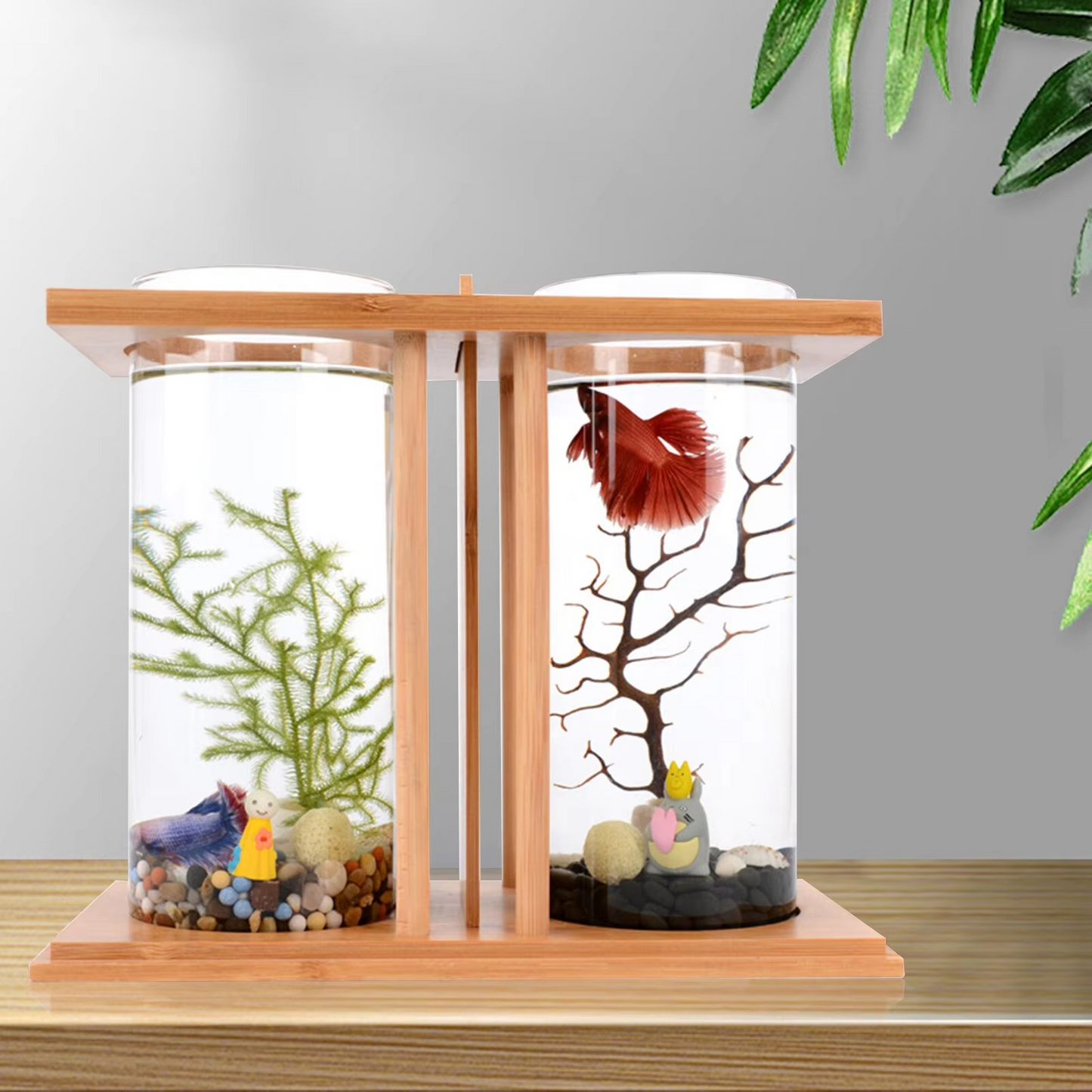 Dual Glass Mini Betta Fish Tank