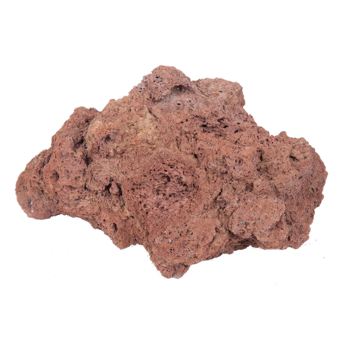 Lava Rock 8-15 cm Hardscape — Standard
