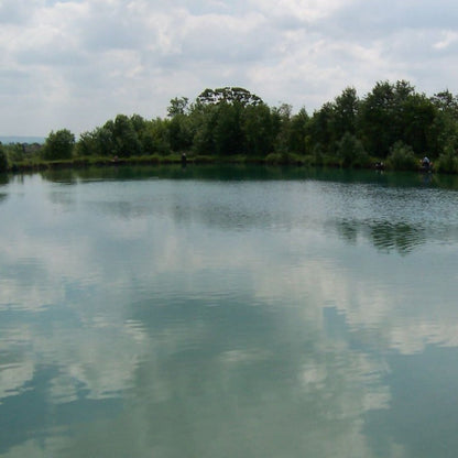 Dyofix Lake Blue Pond Dye Powder - 1kg (Treats up to 10,000,000 Litres)