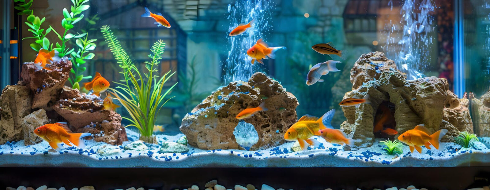 Expert aquatic solutions showcased in homepage hero image, highlighting vibrant aquatic life and innovative pond and aquarium products.