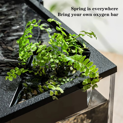 Acrylic Fish Tank with Built-in Light & Pump