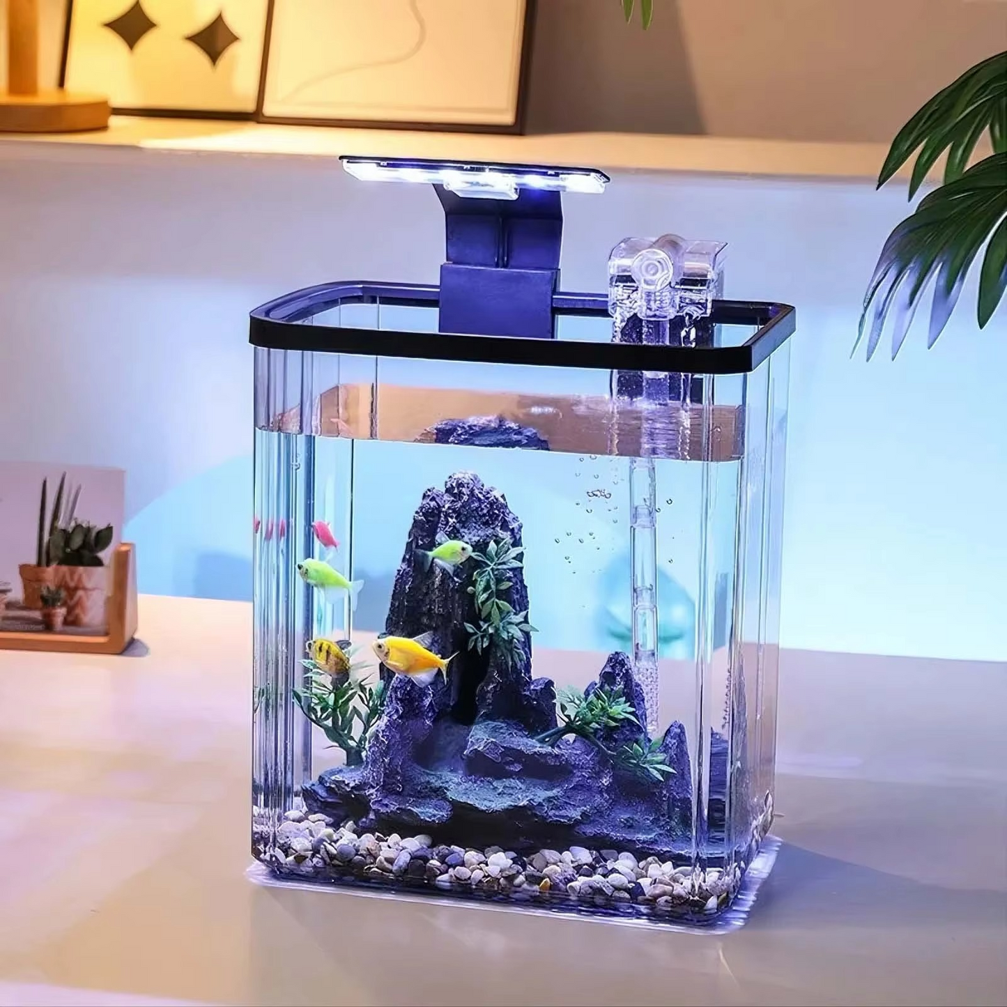 10L Rectangular Fish Tank with LED Light