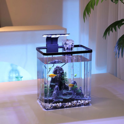 10L Rectangular Fish Tank with LED Light