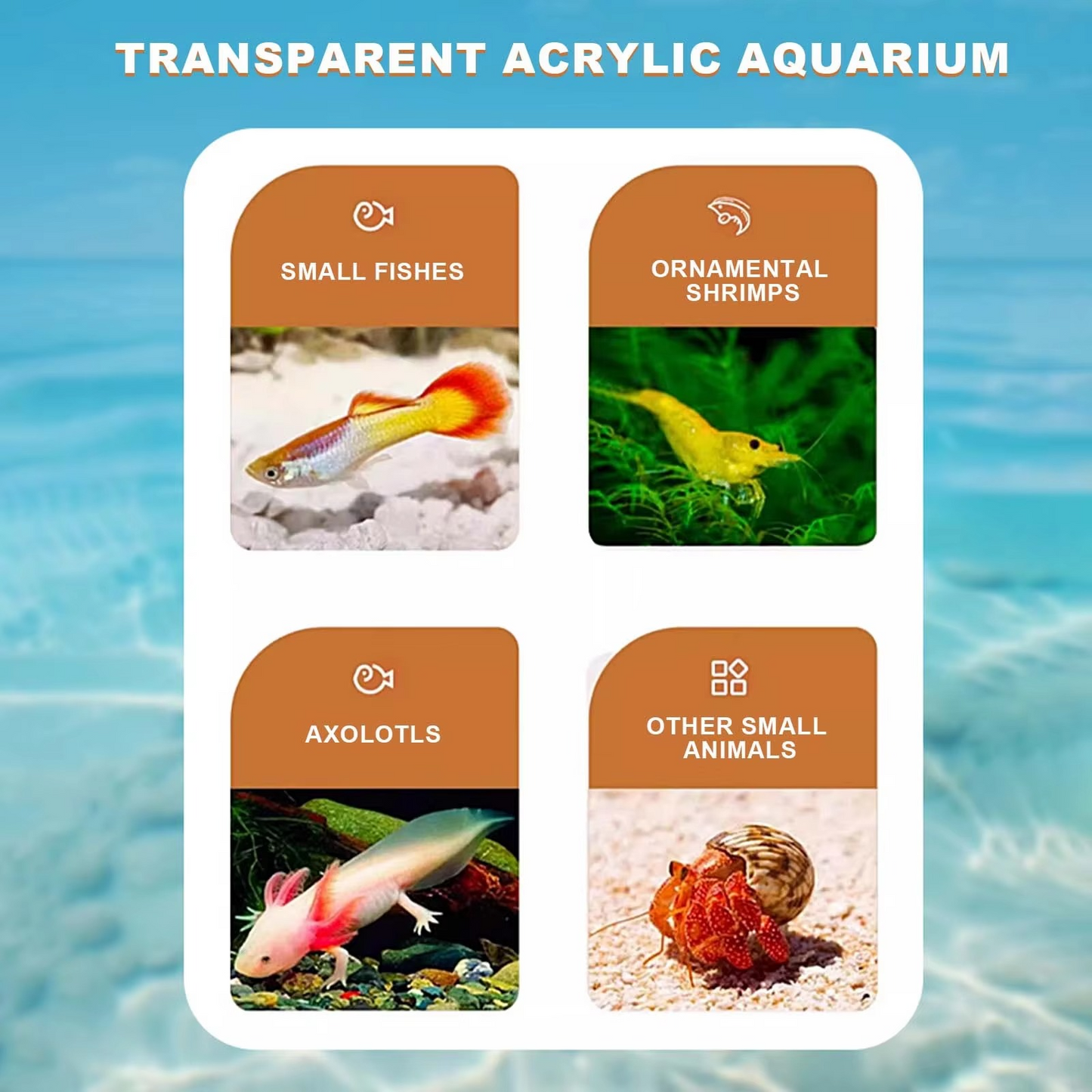 10L Rectangular Fish Tank with LED Light