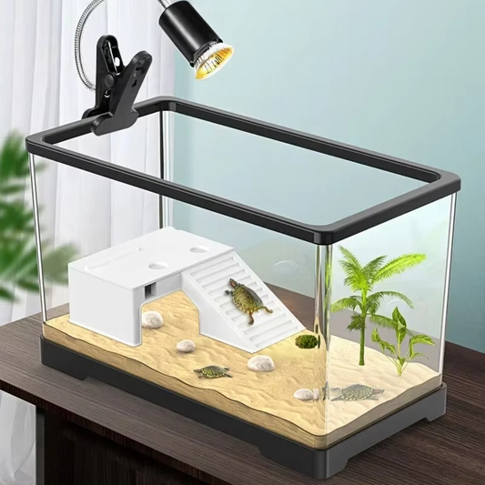 Transparent Acrylic Fish Tank with Breeding Box