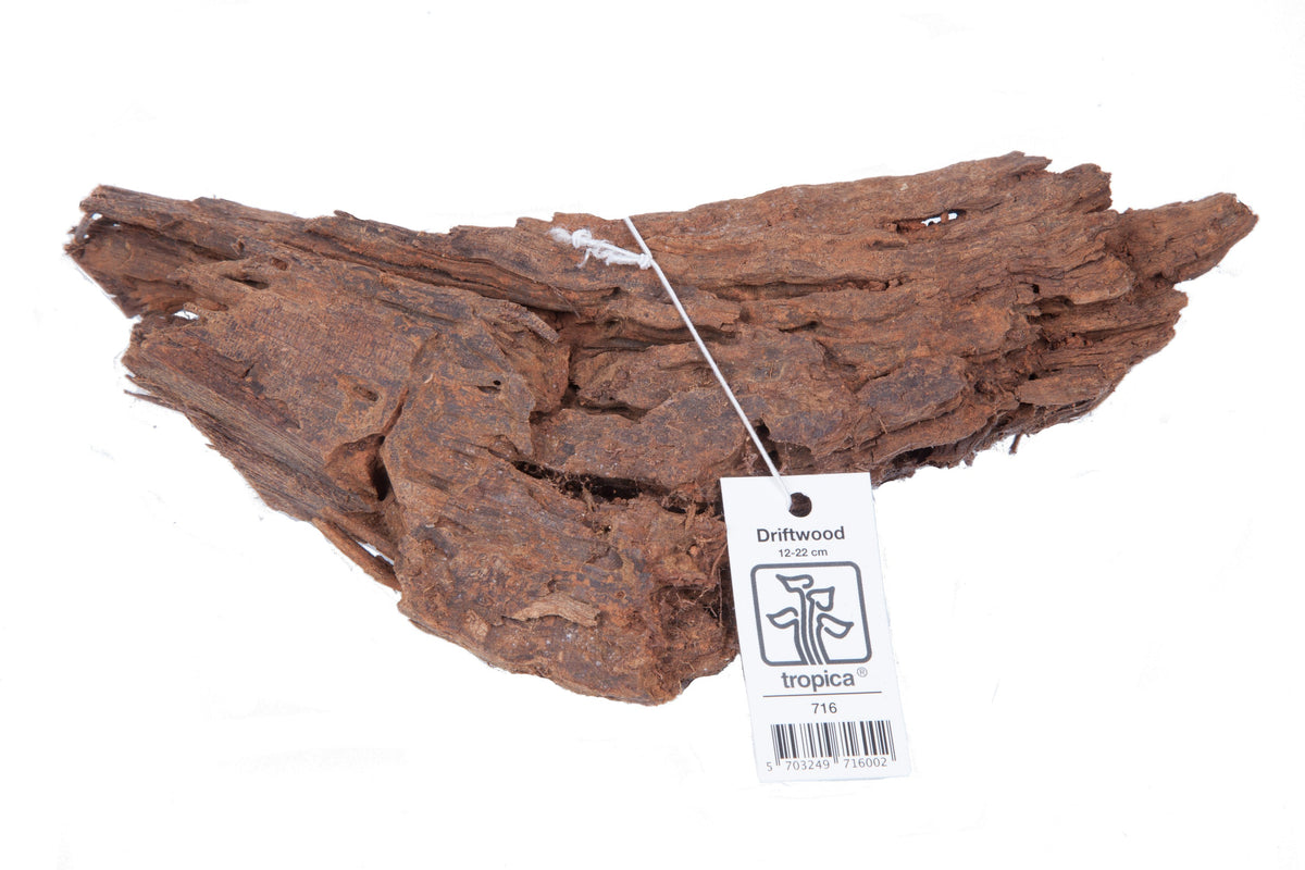 Driftwood for Aquascaping, 12-20 cm (Hardscape) — Standard