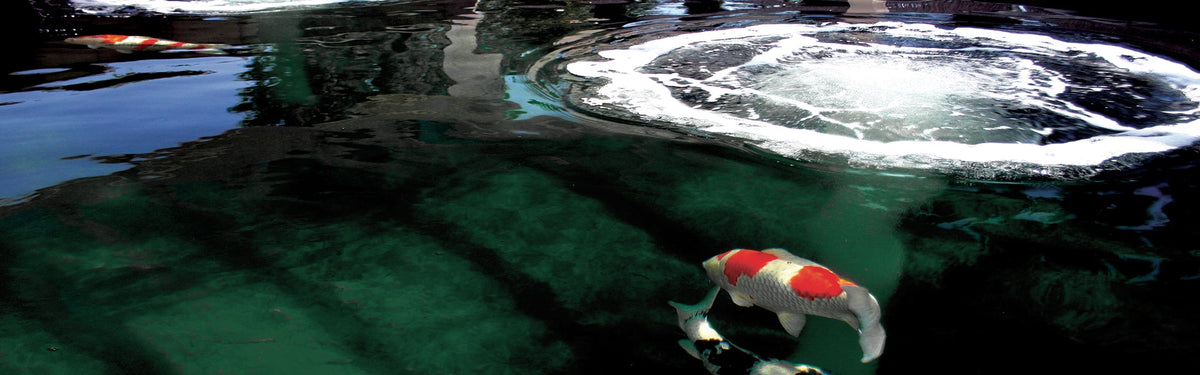 Evolution Aqua AirPump - Pond Diaphragm Air Pump Range