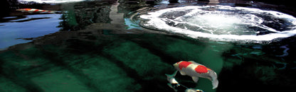 Evolution Aqua AirPump - Pond Diaphragm Air Pump Range