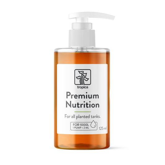 Premium Nutrition Plant Fertiliser